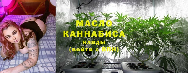 дмт Алзамай