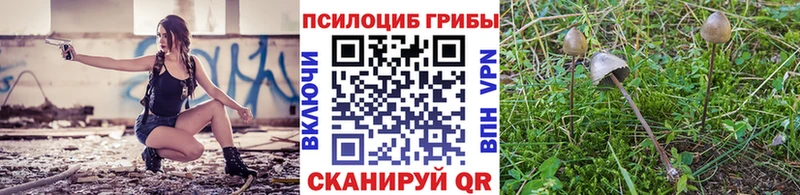площадка официальный сайт  закладки  Северская  Псилоцибиновые грибы мухоморы 